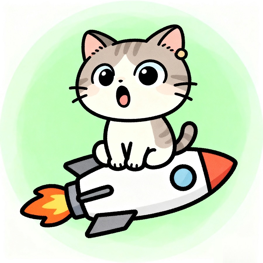 Cat on Rocket